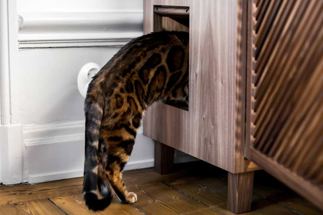 wooden ，cattery ，Cat Flat，