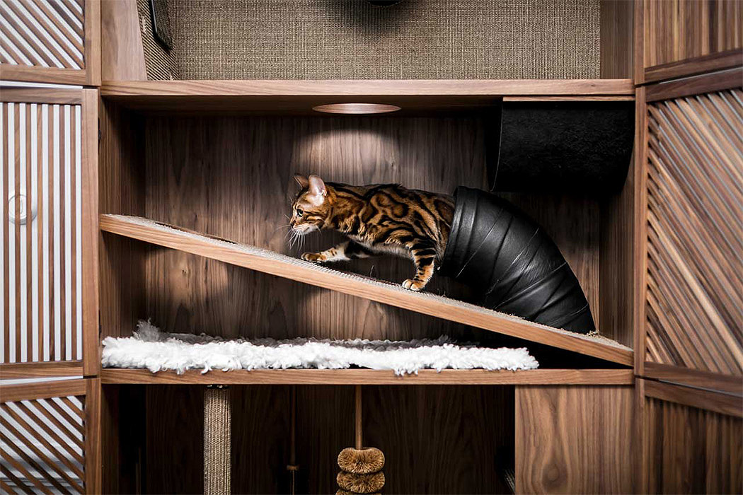 wooden ，cattery ，Cat Flat，
