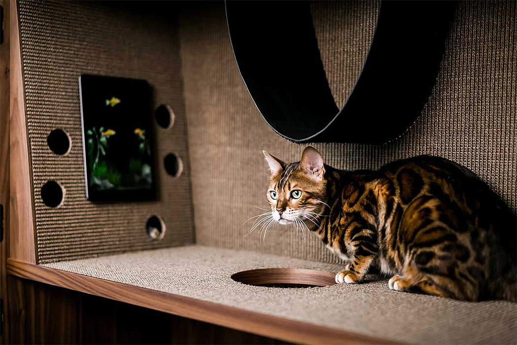 wooden ，cattery ，Cat Flat，