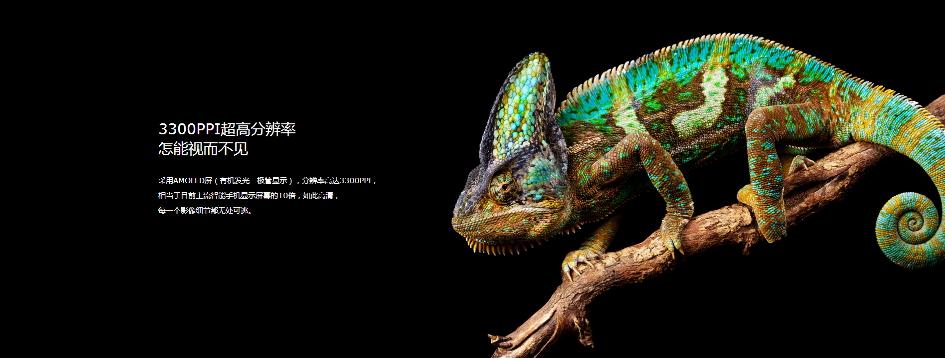 Royol-x，vr，Foldable，Smart cinema，Digital，science and technology，