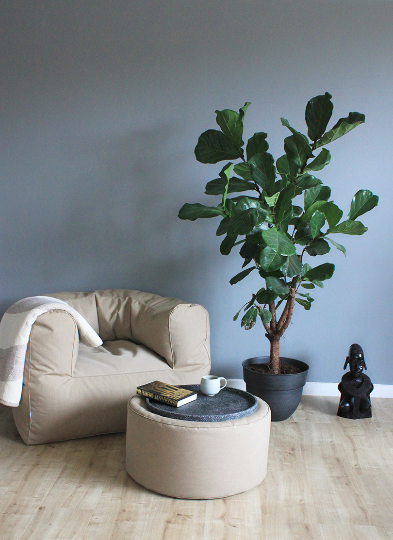 sofa，chair，Armchair，grey，soft，