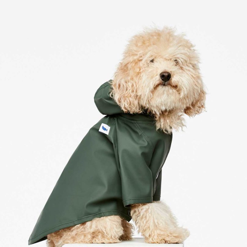 Pets，clothing，T-shirt，Raincoat，
