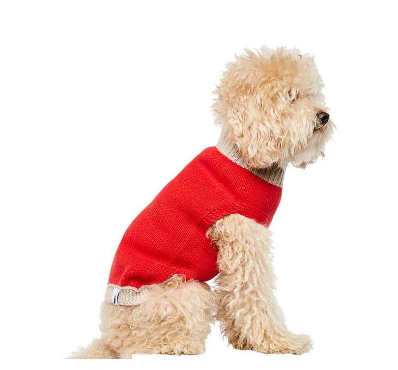 Pets，clothing，T-shirt，Raincoat，