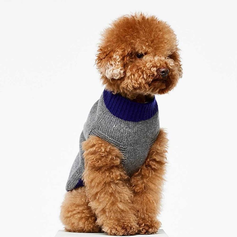 Pets，clothing，T-shirt，Raincoat，