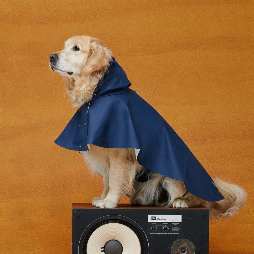 Pets，clothing，T-shirt，Raincoat，