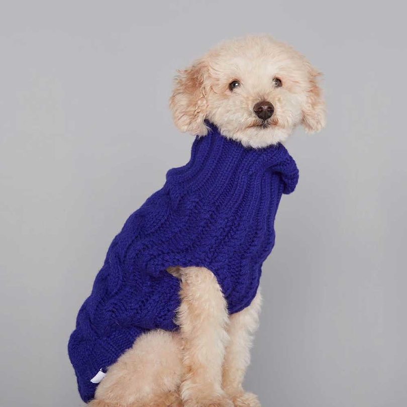 Pets，clothing，T-shirt，Raincoat，