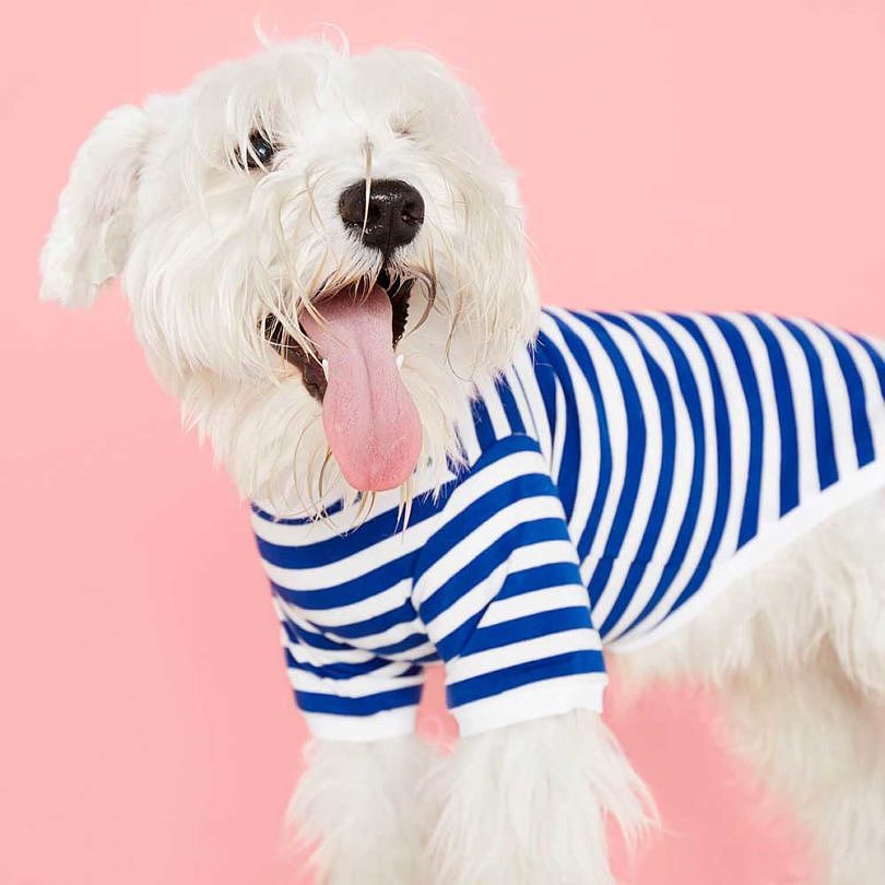 Pets，clothing，T-shirt，Raincoat，