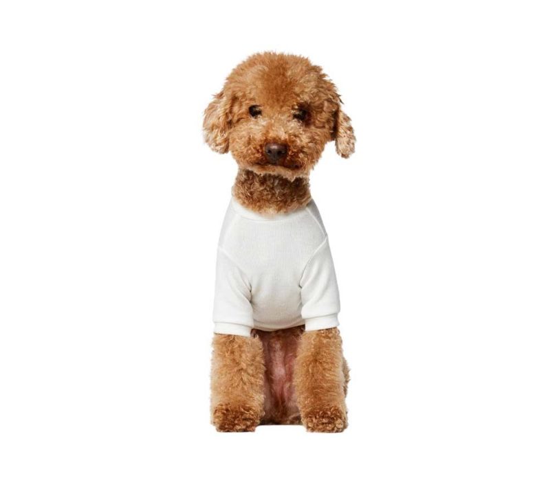 Pets，clothing，T-shirt，Raincoat，