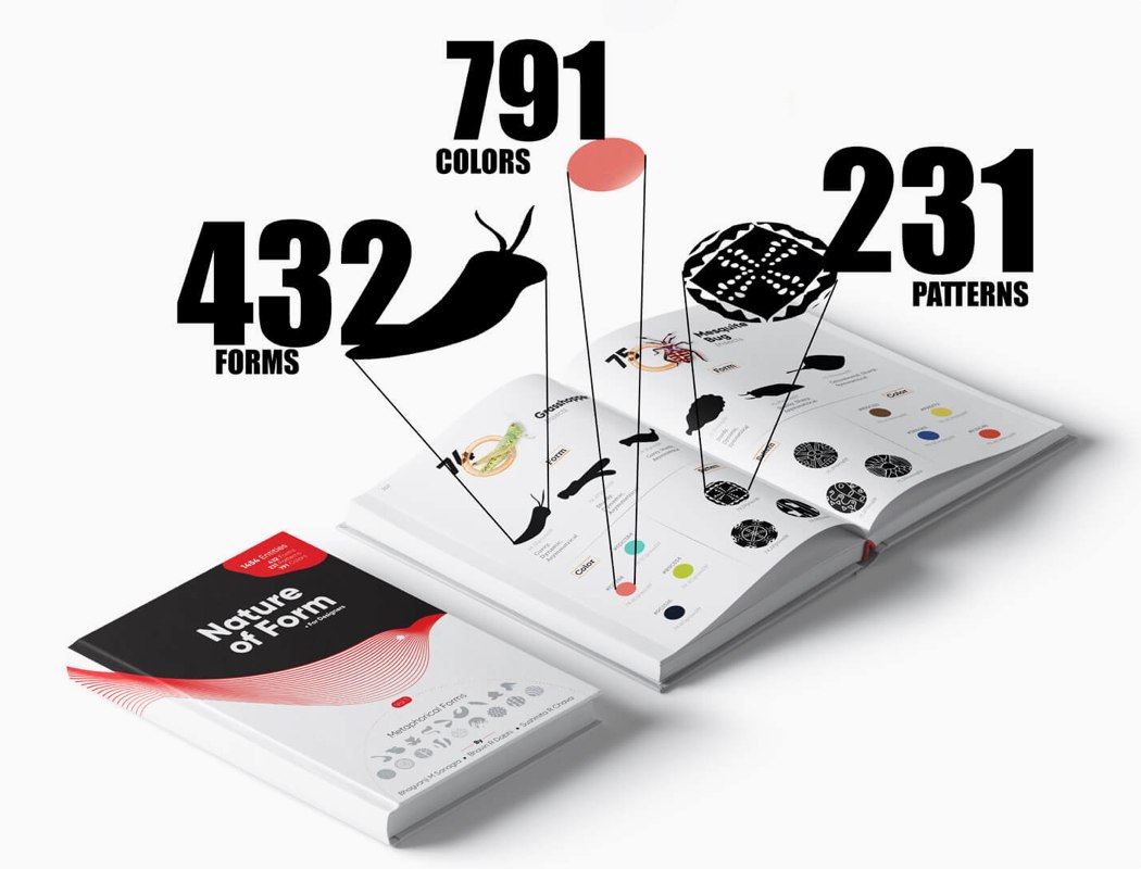 color，bionics，natural，book，Hand drawn，