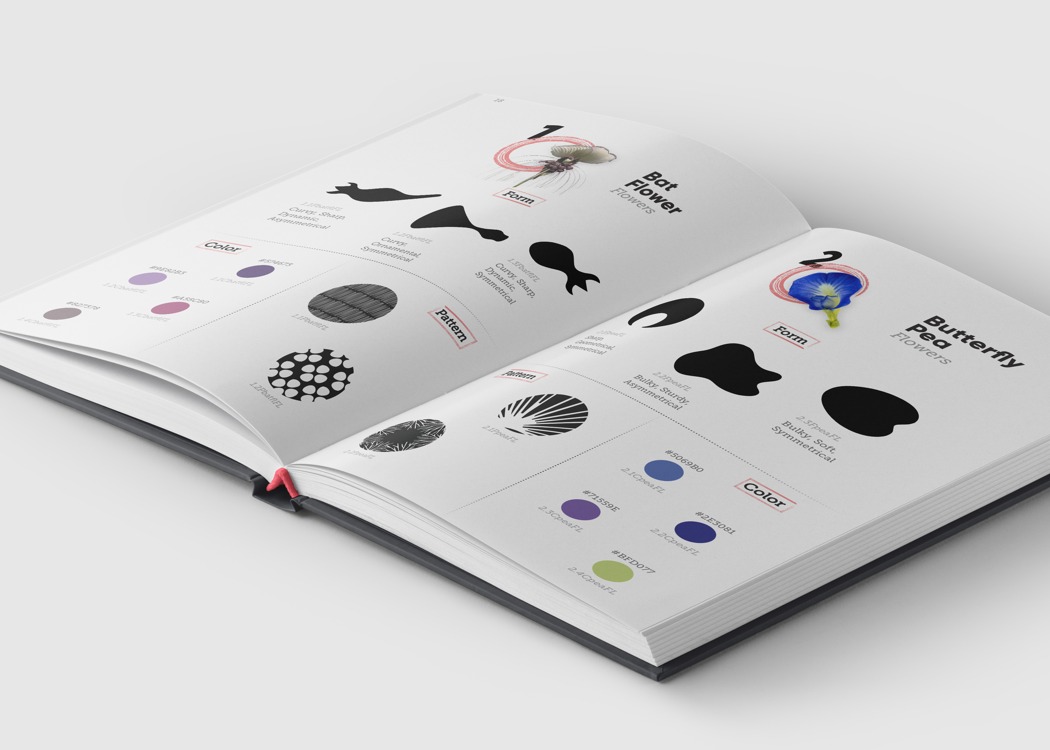 color，bionics，natural，book，Hand drawn，