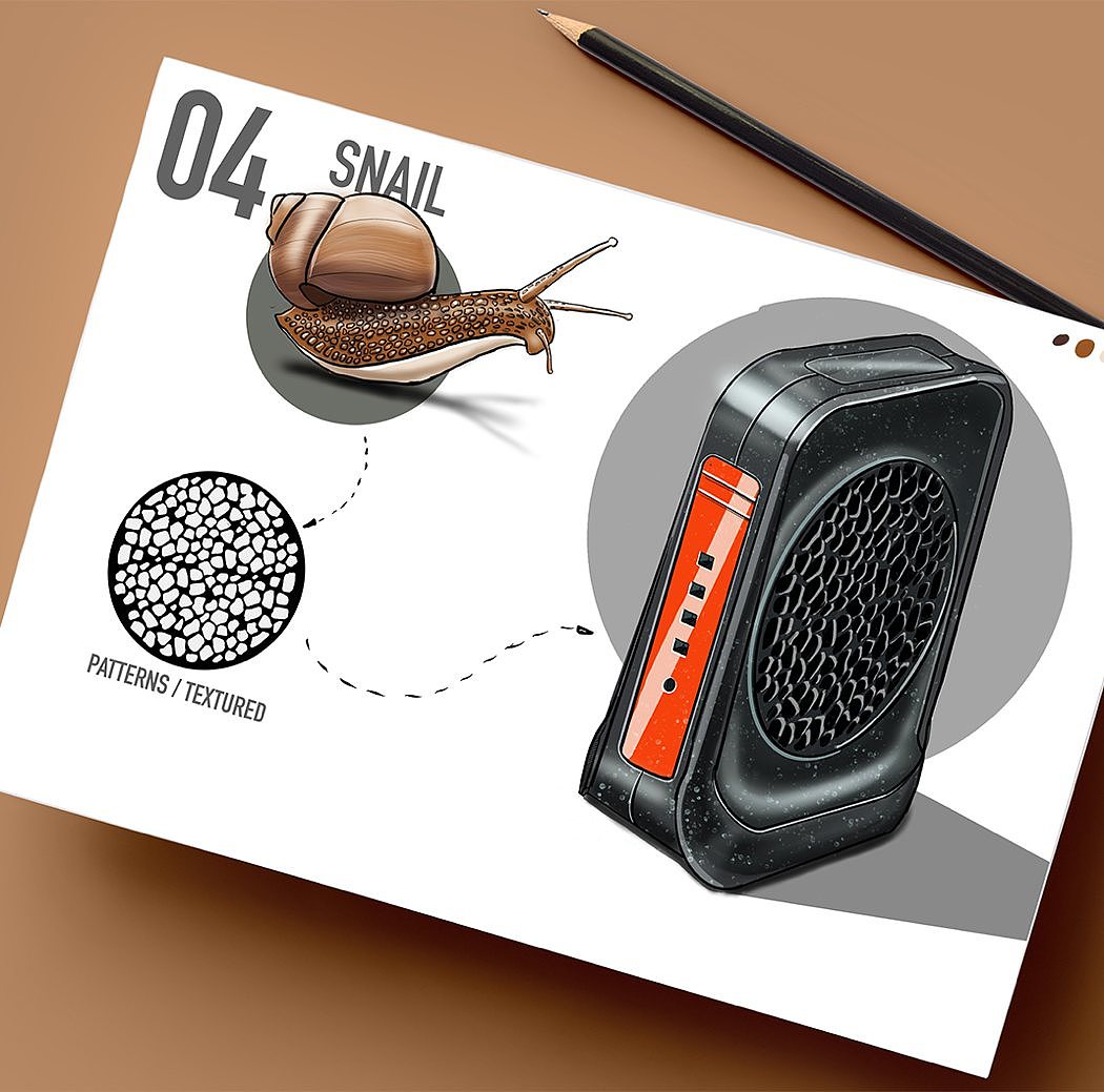 color，bionics，natural，book，Hand drawn，