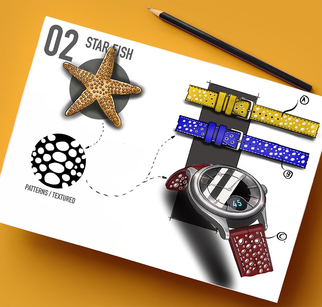 color，bionics，natural，book，Hand drawn，