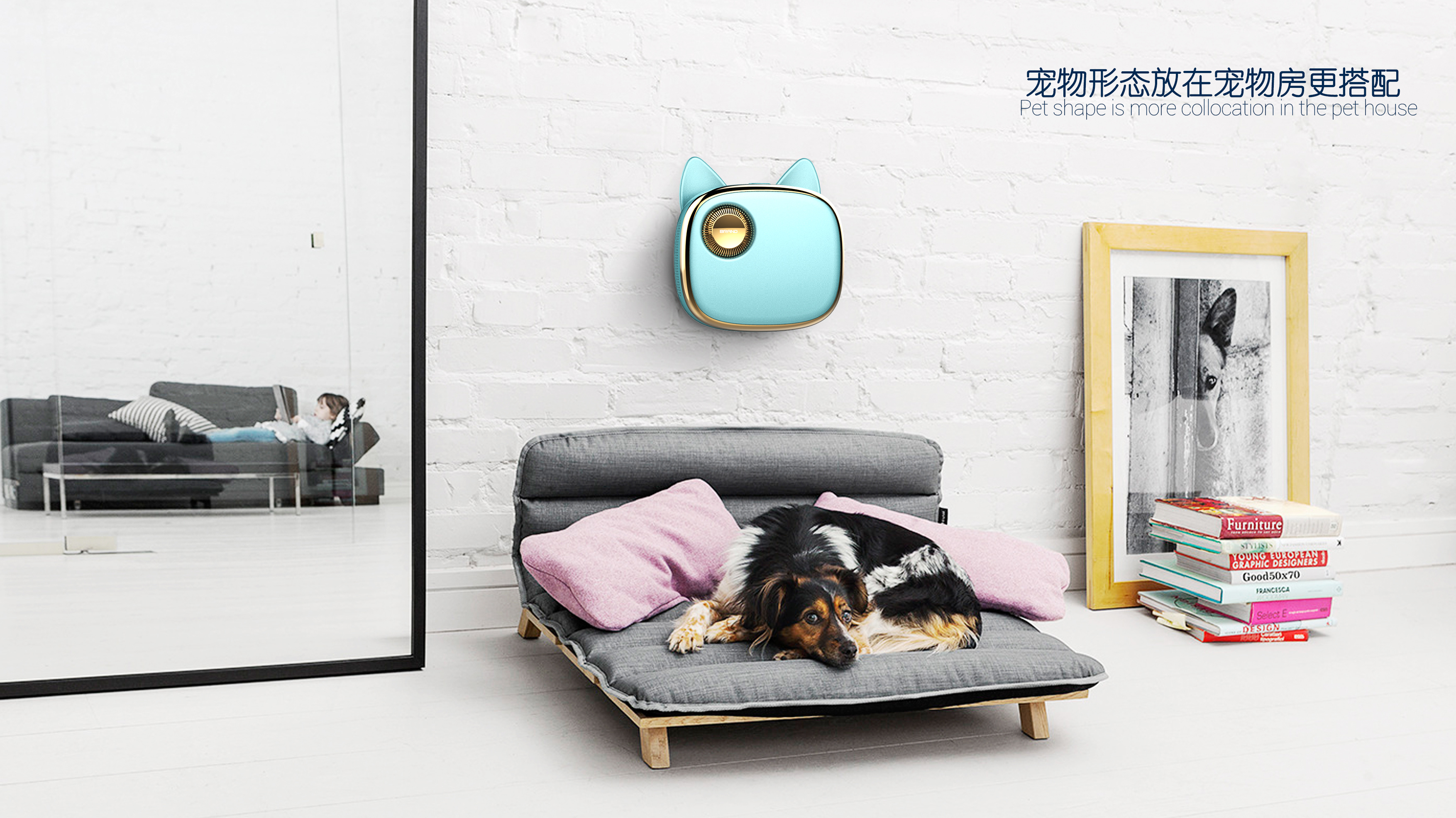 Pets, kitchen, bedroom，