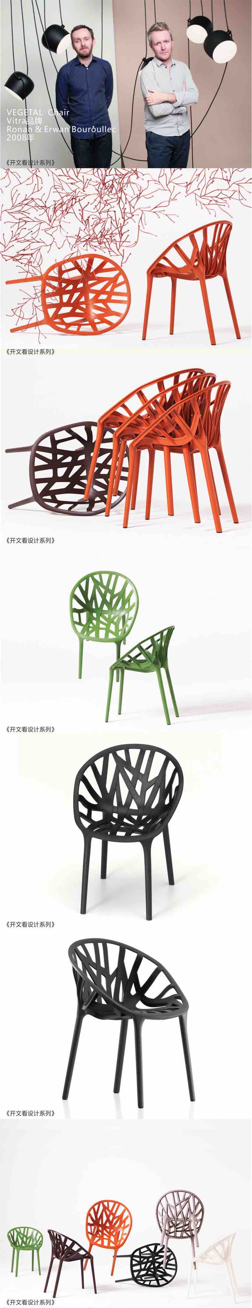 Opening design，France，chair，Botany，tree，