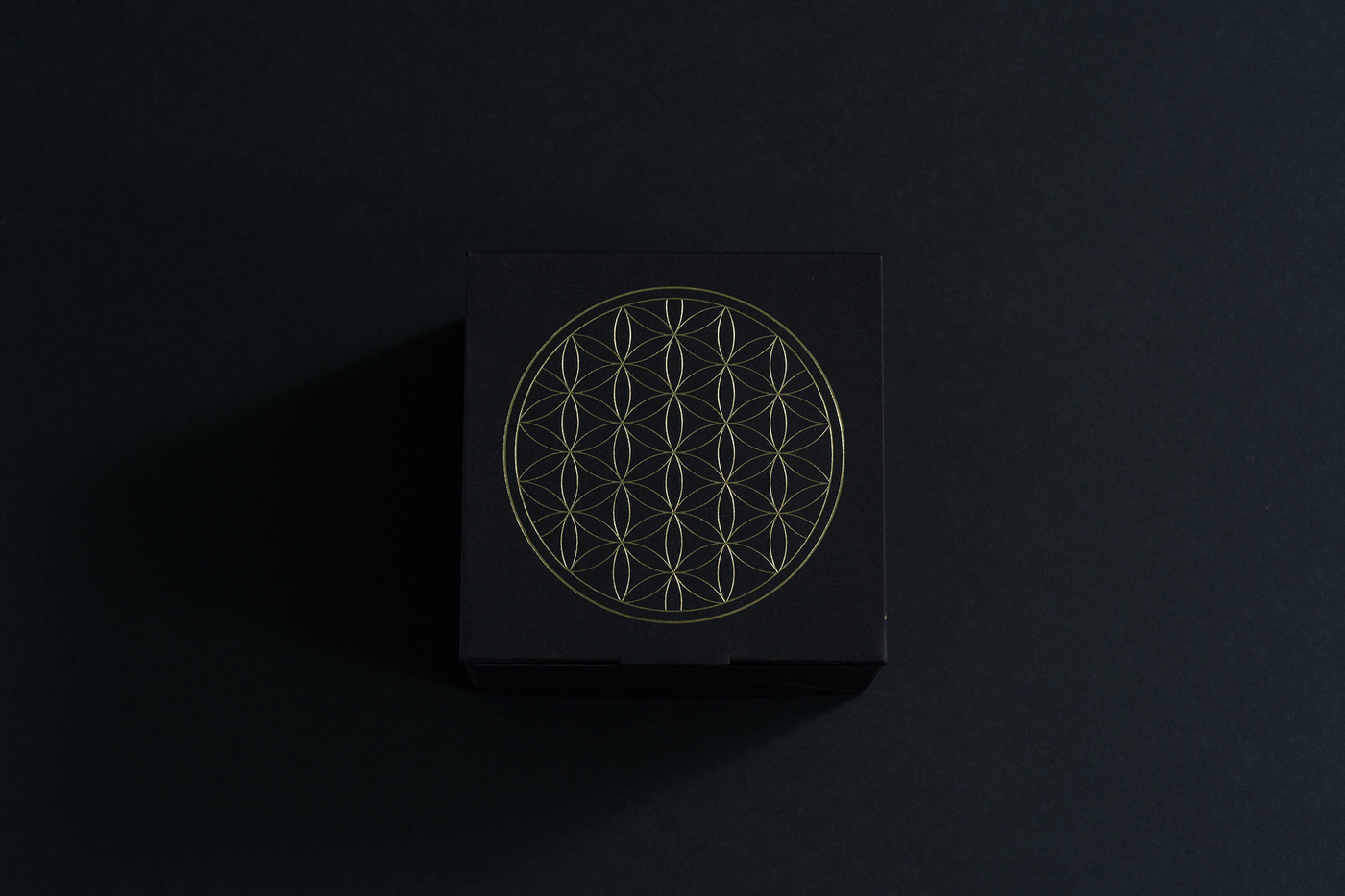 Lucky Toad，mascot，packing design，Visual design，originality，Cultural creation，