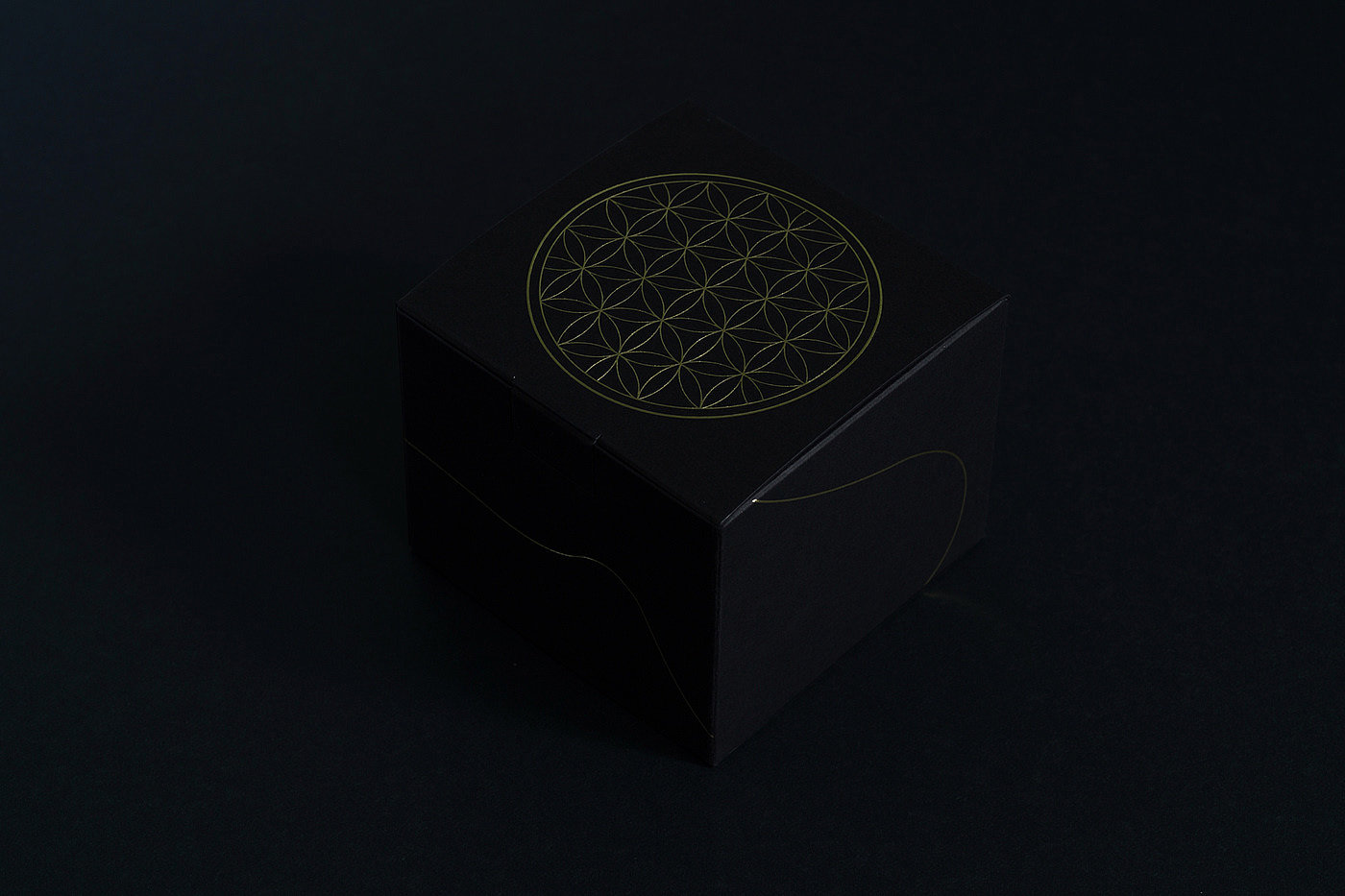 Lucky Toad，mascot，packing design，Visual design，originality，Cultural creation，