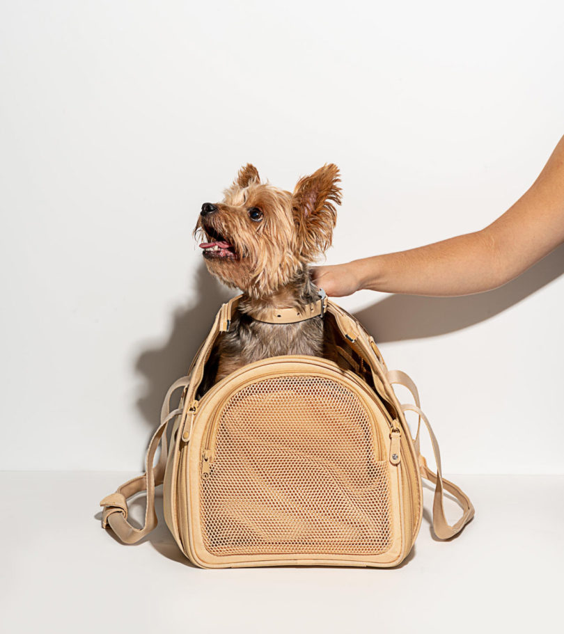 Pets，Travel，package，