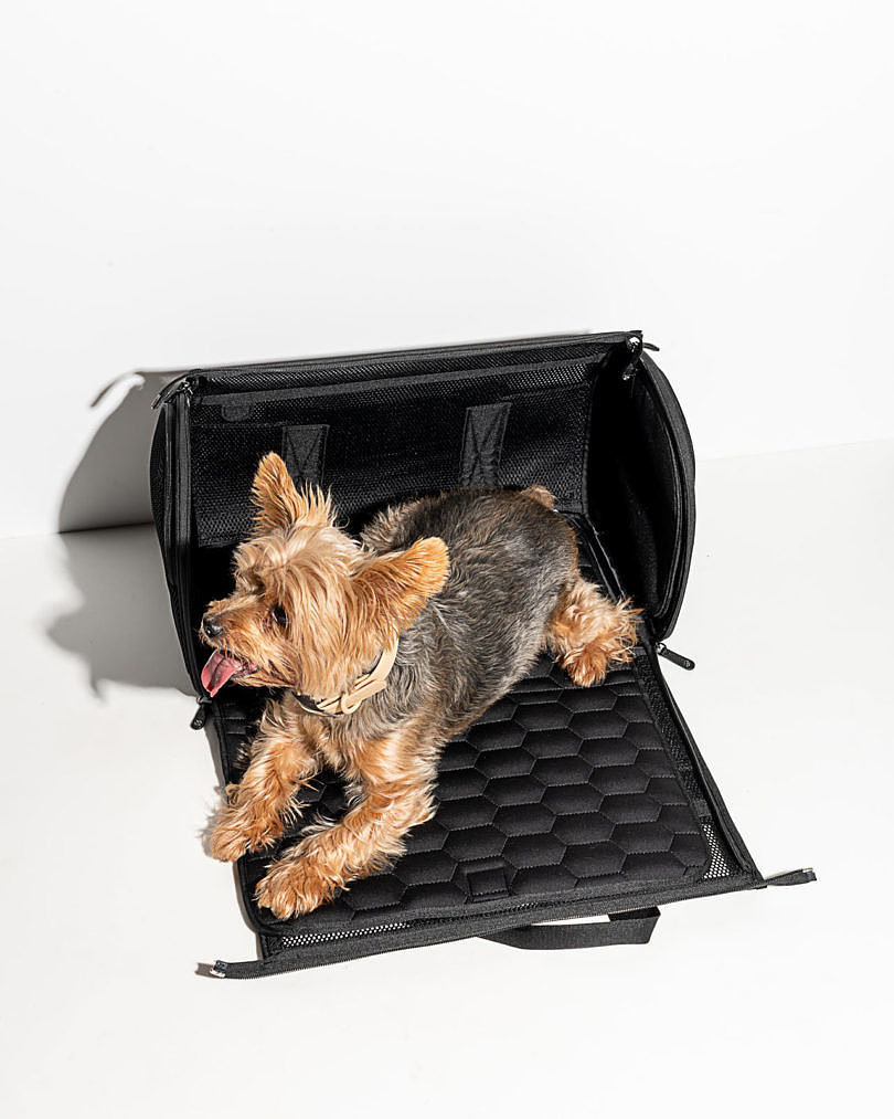 Pets，Travel，package，