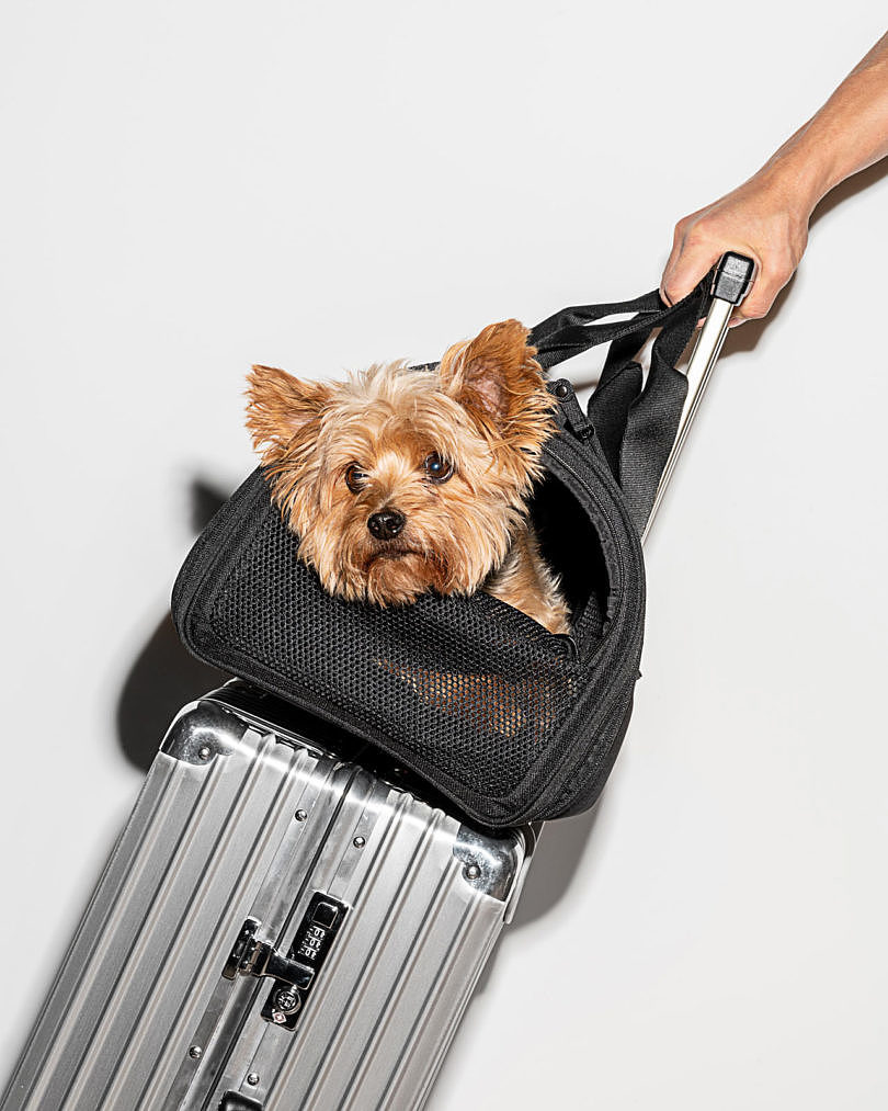 Pets，Travel，package，