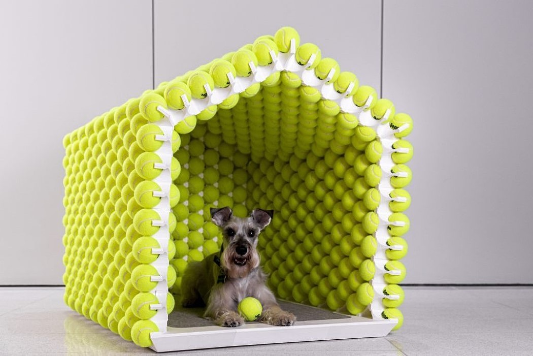 Pet Supplies & Pet，product design，industrial design，originality，