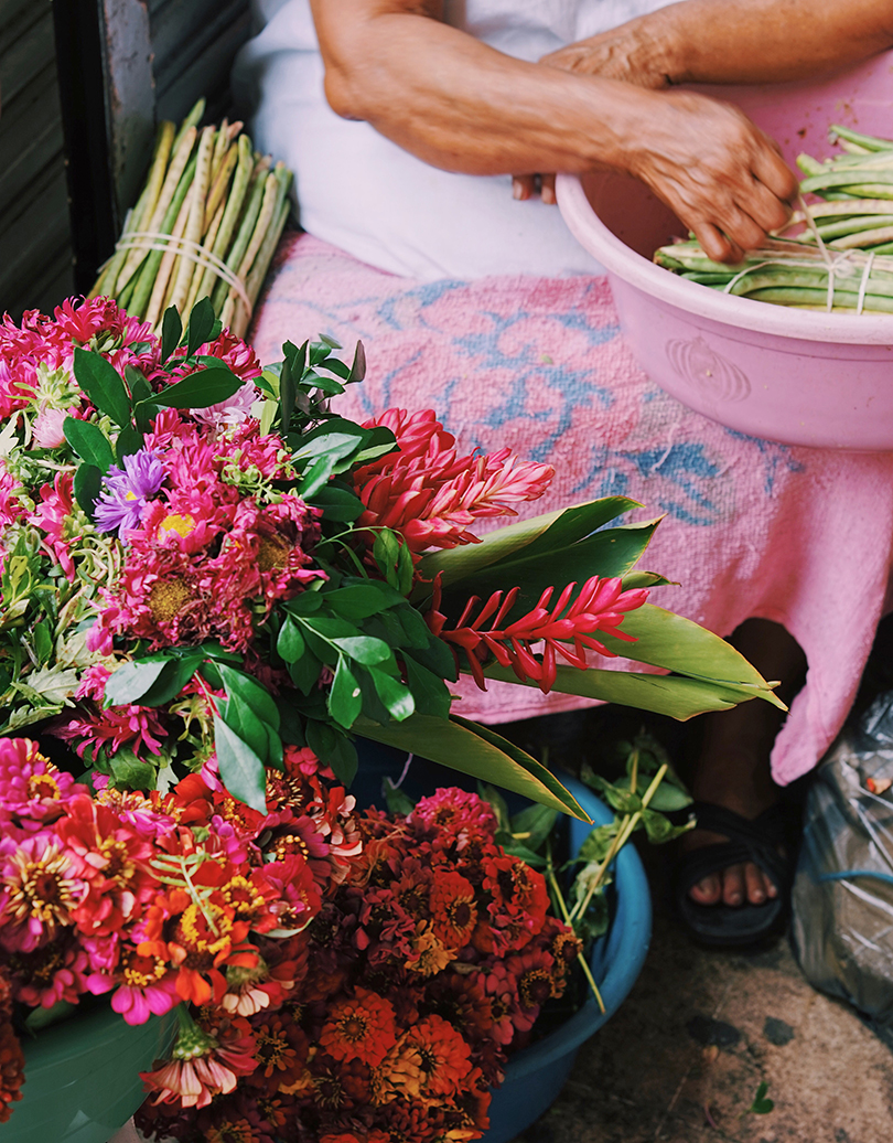 Camera，Riverola，scenery，character，