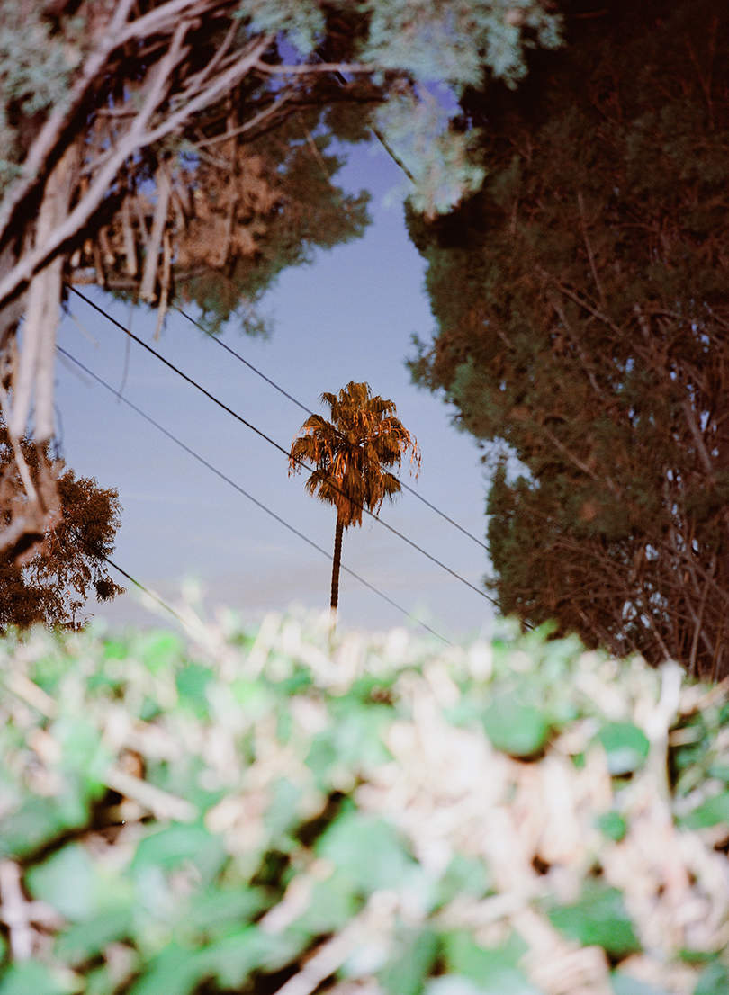 Camera，Riverola，scenery，character，