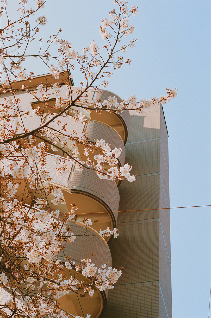 Camera，Riverola，scenery，character，