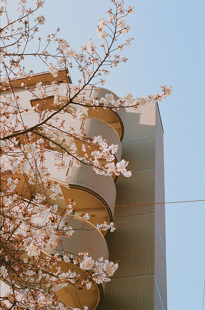 摄像，Pia Riverola，风景，人物，