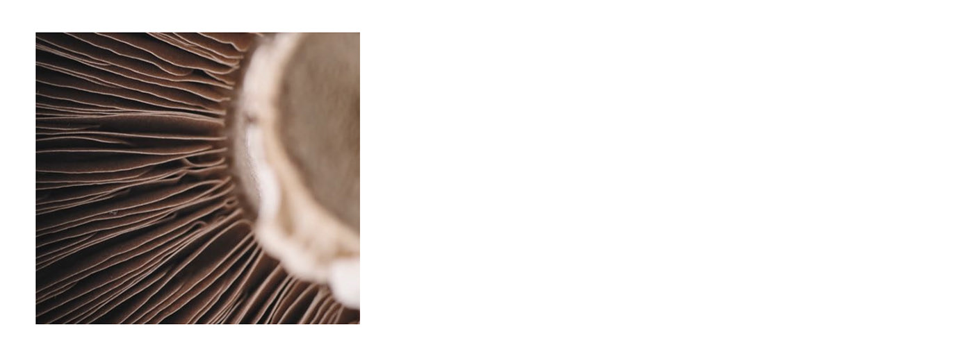 Pavel Vetrov，a chopping board，Octagonal，chopping block，wooden ，