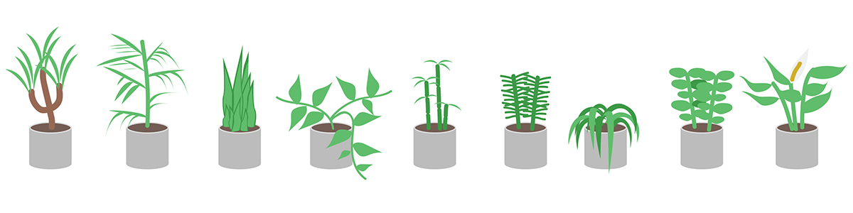 air cleaner，healthy，Botany，visualization，