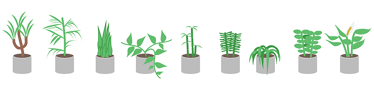 air cleaner，healthy，Botany，visualization，
