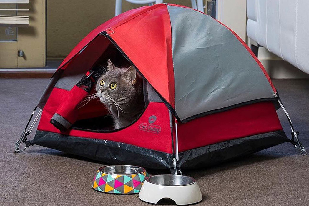 Cat nest，Tent，Pet home，Camping tent，Mini，