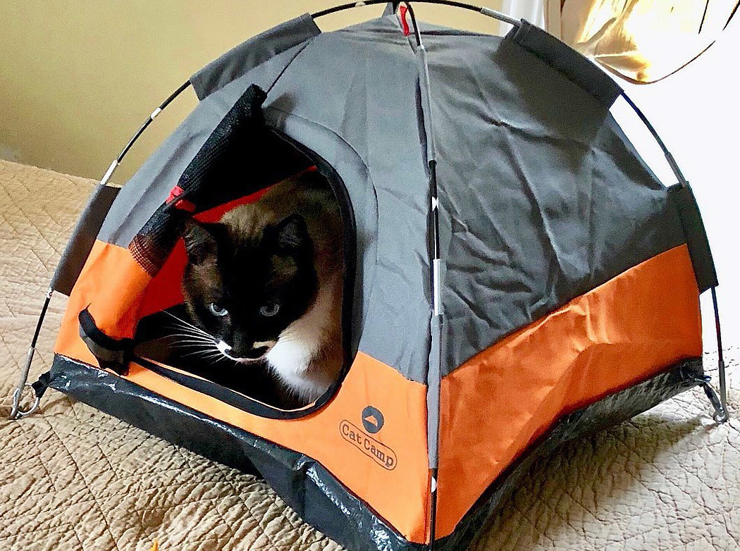 猫窝，帐篷，宠物之家，野营帐篷，迷你，