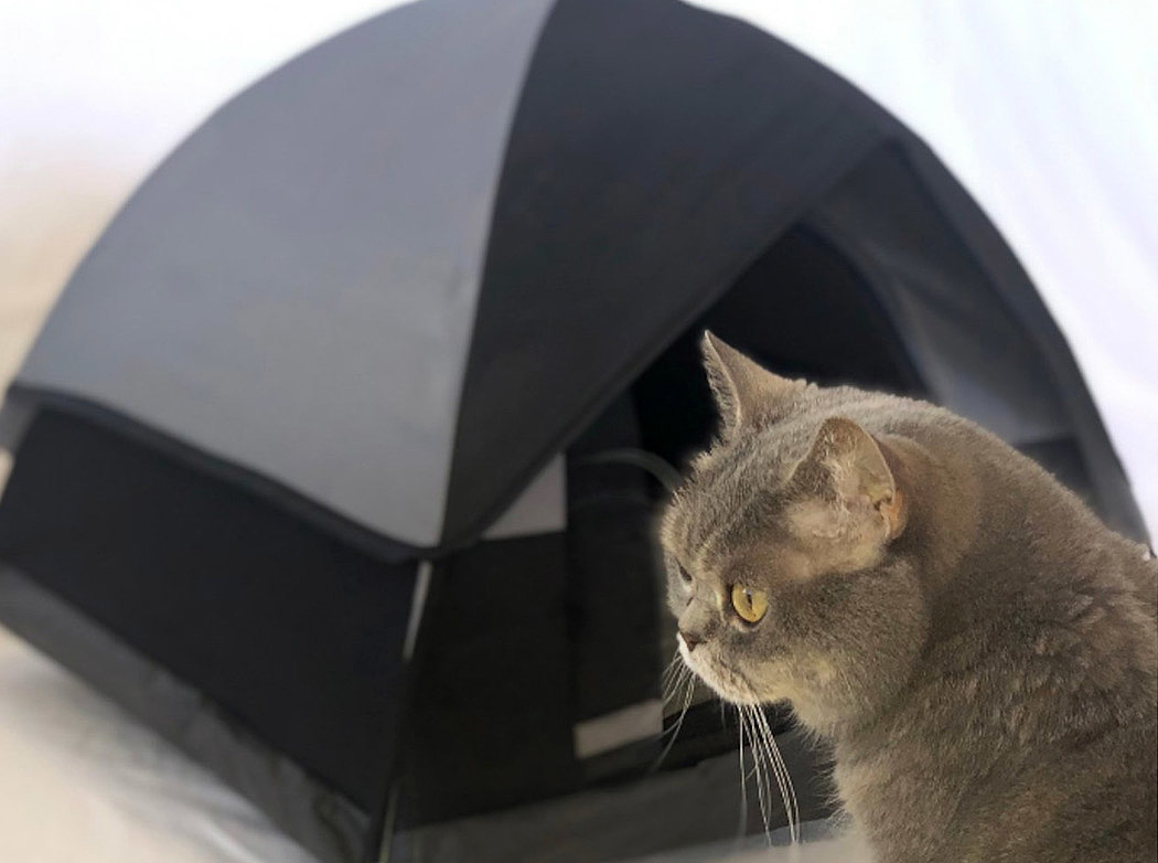 Cat nest，Tent，Pet home，Camping tent，Mini，