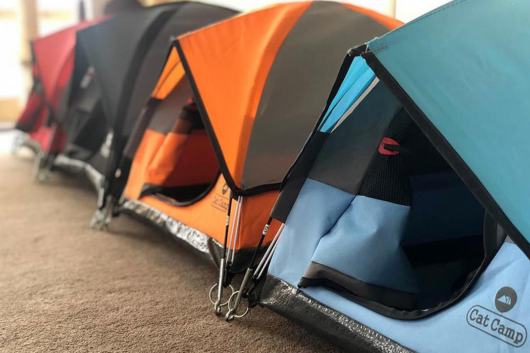 Cat nest，Tent，Pet home，Camping tent，Mini，
