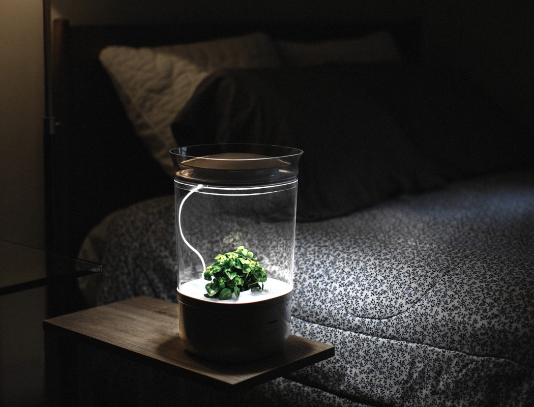 planter，Bloomengine，intelligence，