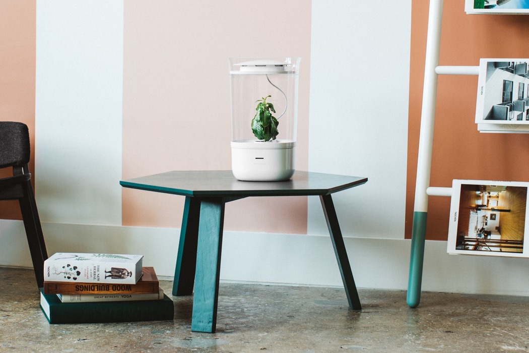 planter，Bloomengine，intelligence，