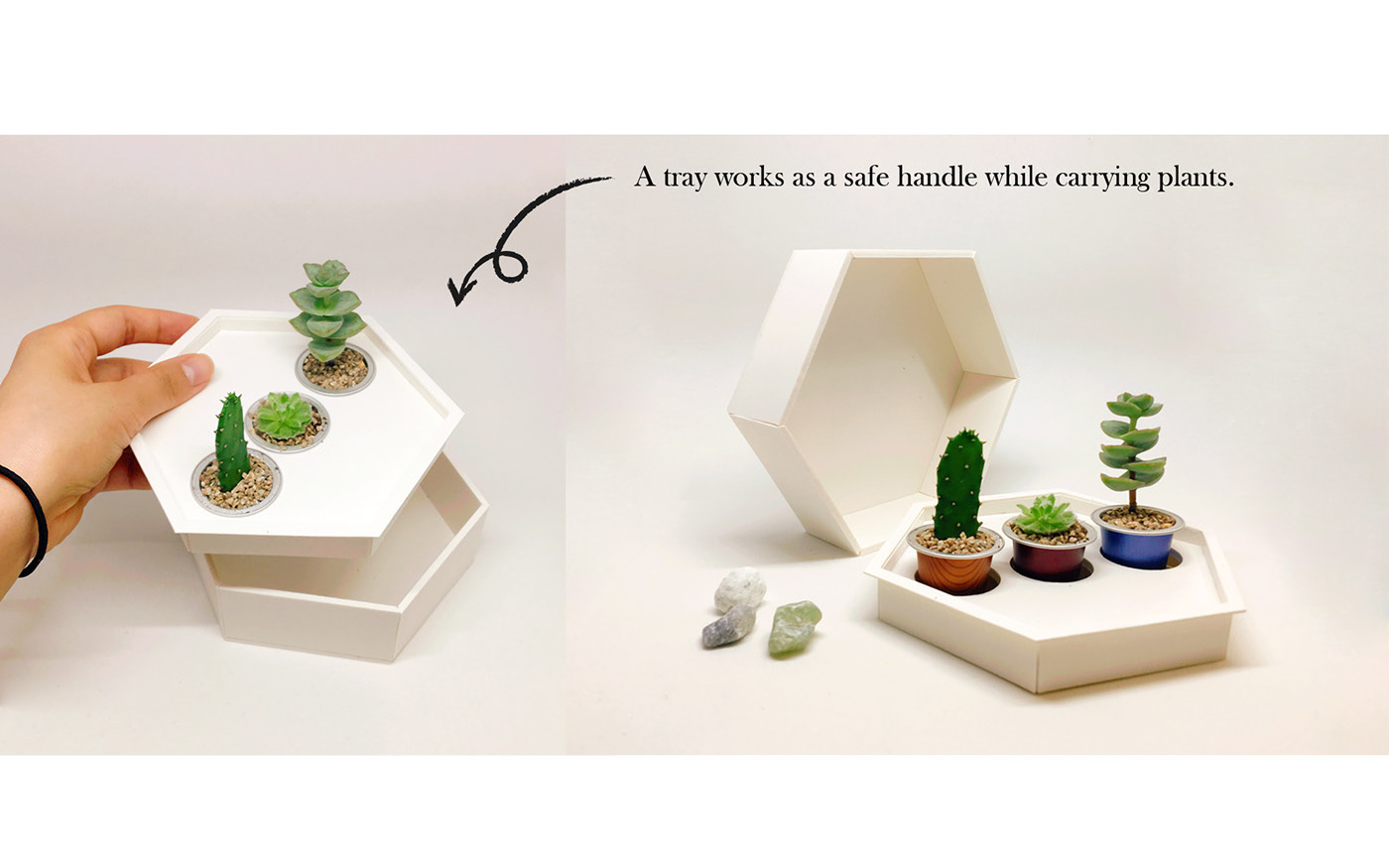 Neverland，Plant Kit，Fleshy，3D printing，