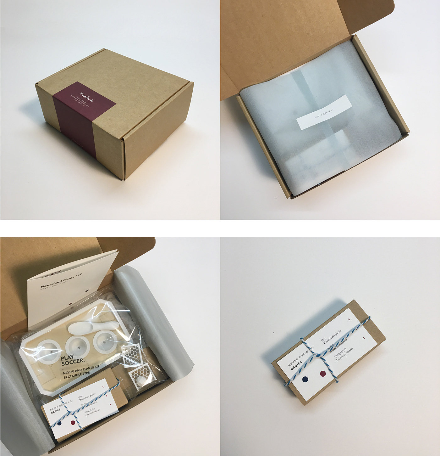 Neverland，Plant Kit，Fleshy，3D printing，