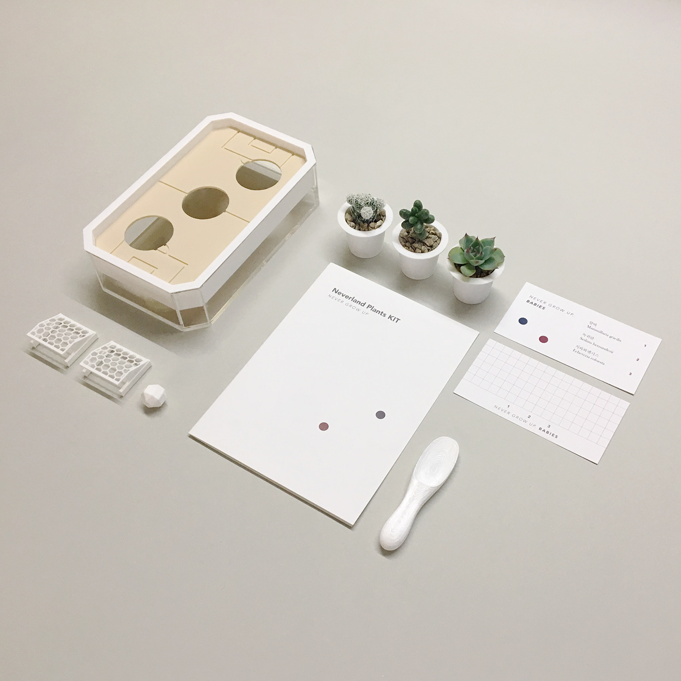 Neverland，Plant Kit，Fleshy，3D printing，