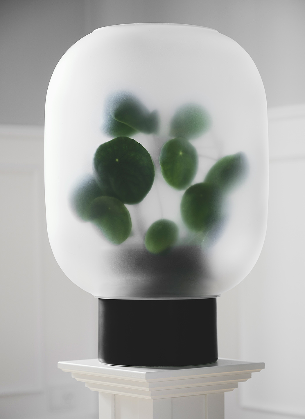 Flowerpot，Neb，Minimalist，translucent，