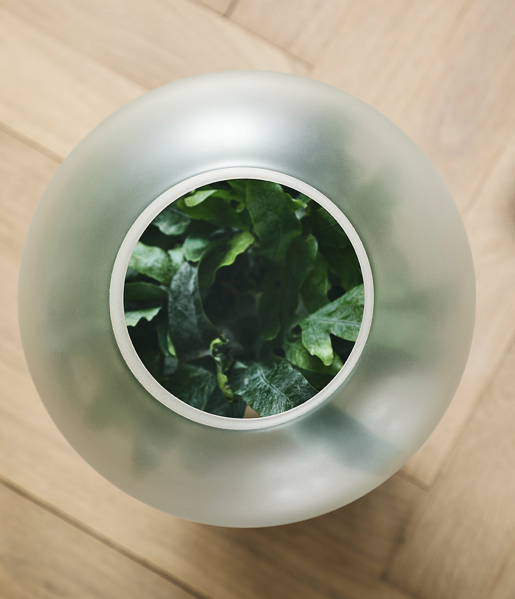 Flowerpot，Neb，Minimalist，translucent，