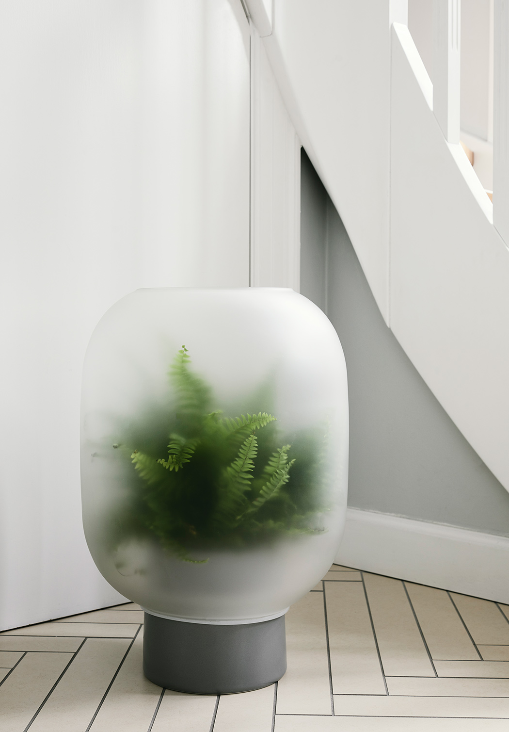 Flowerpot，Neb，Minimalist，translucent，