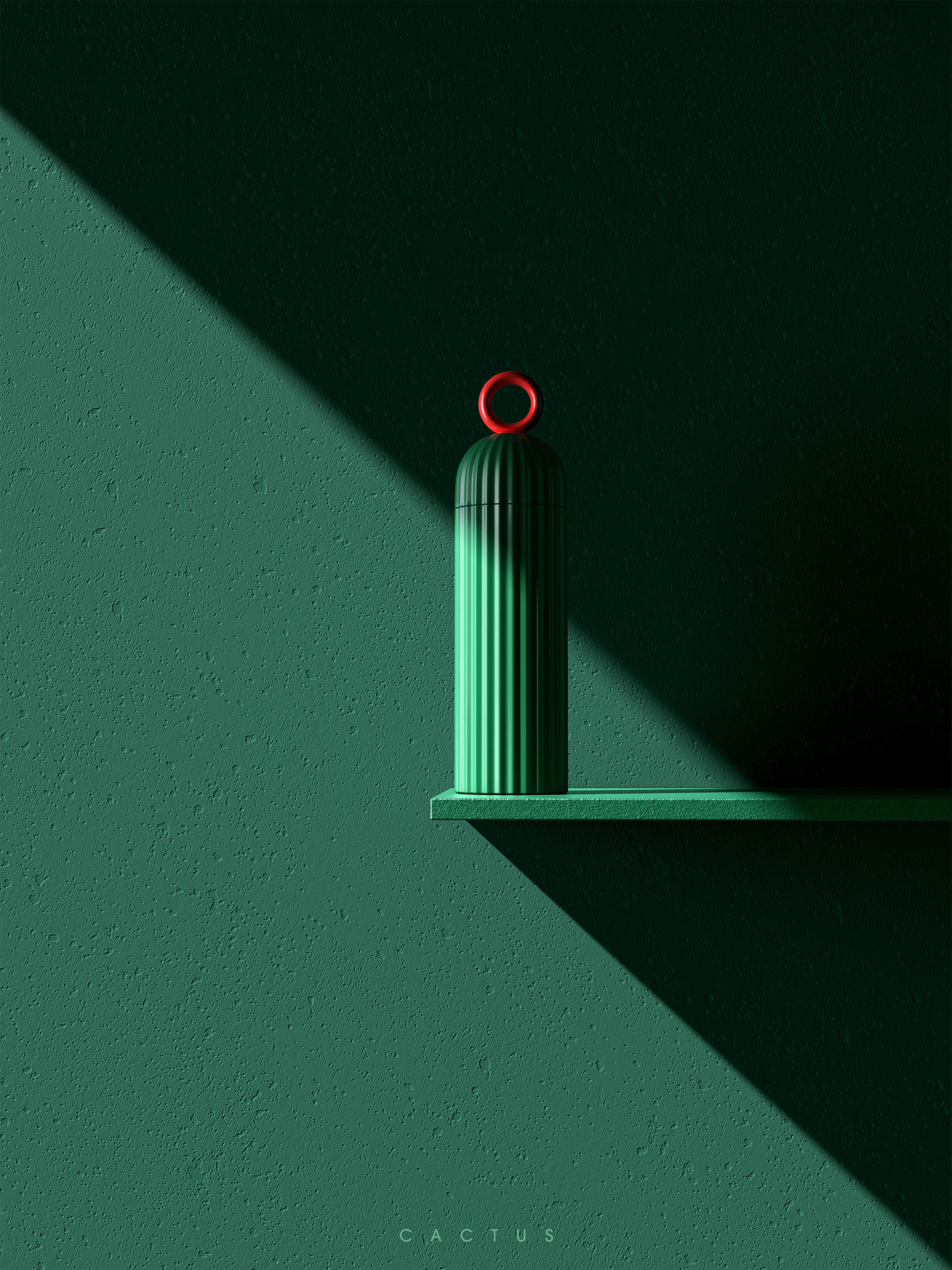 cactus，vacuum cup，