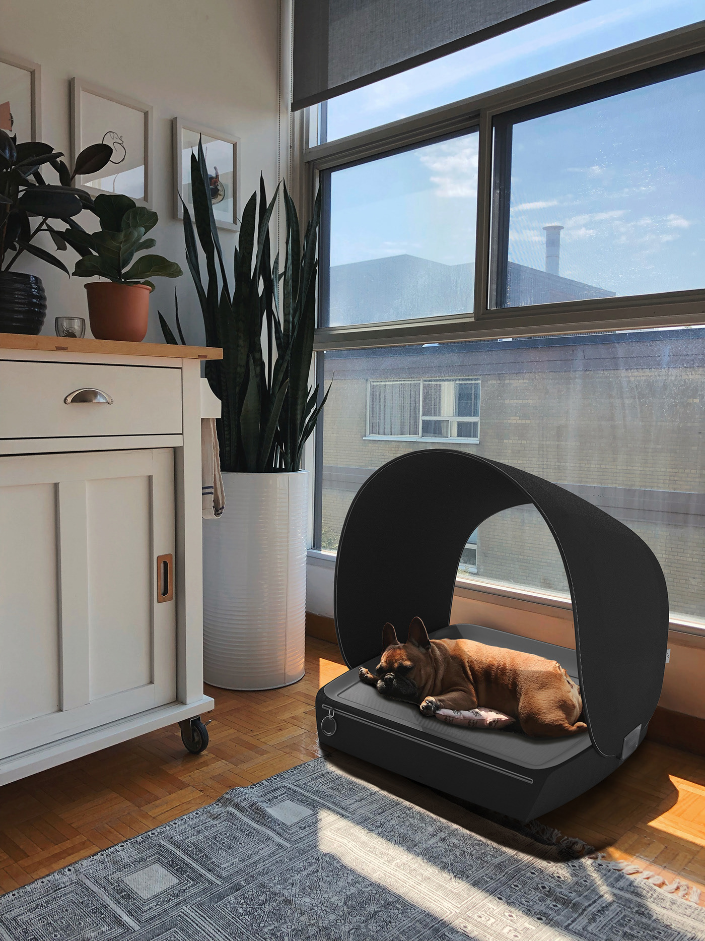 clean，Pet house，ZIPUP，