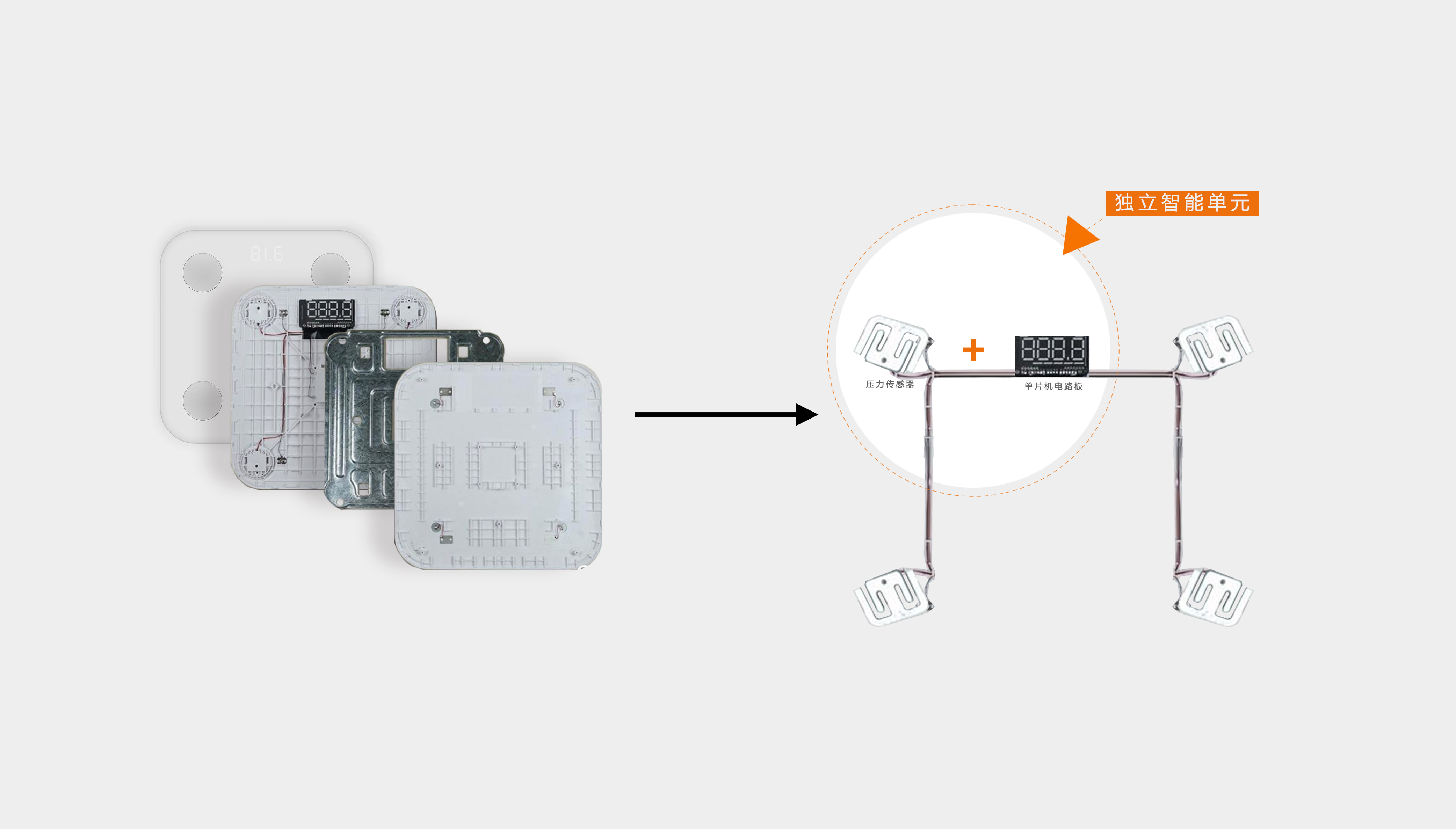 Body fat，reduce weight，Bodybuilding，physical exercise，