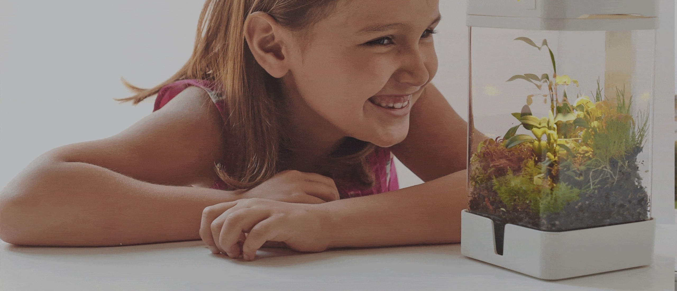 intelligence，OrchidBox，Mini，Glass container，Intelligent incubator，