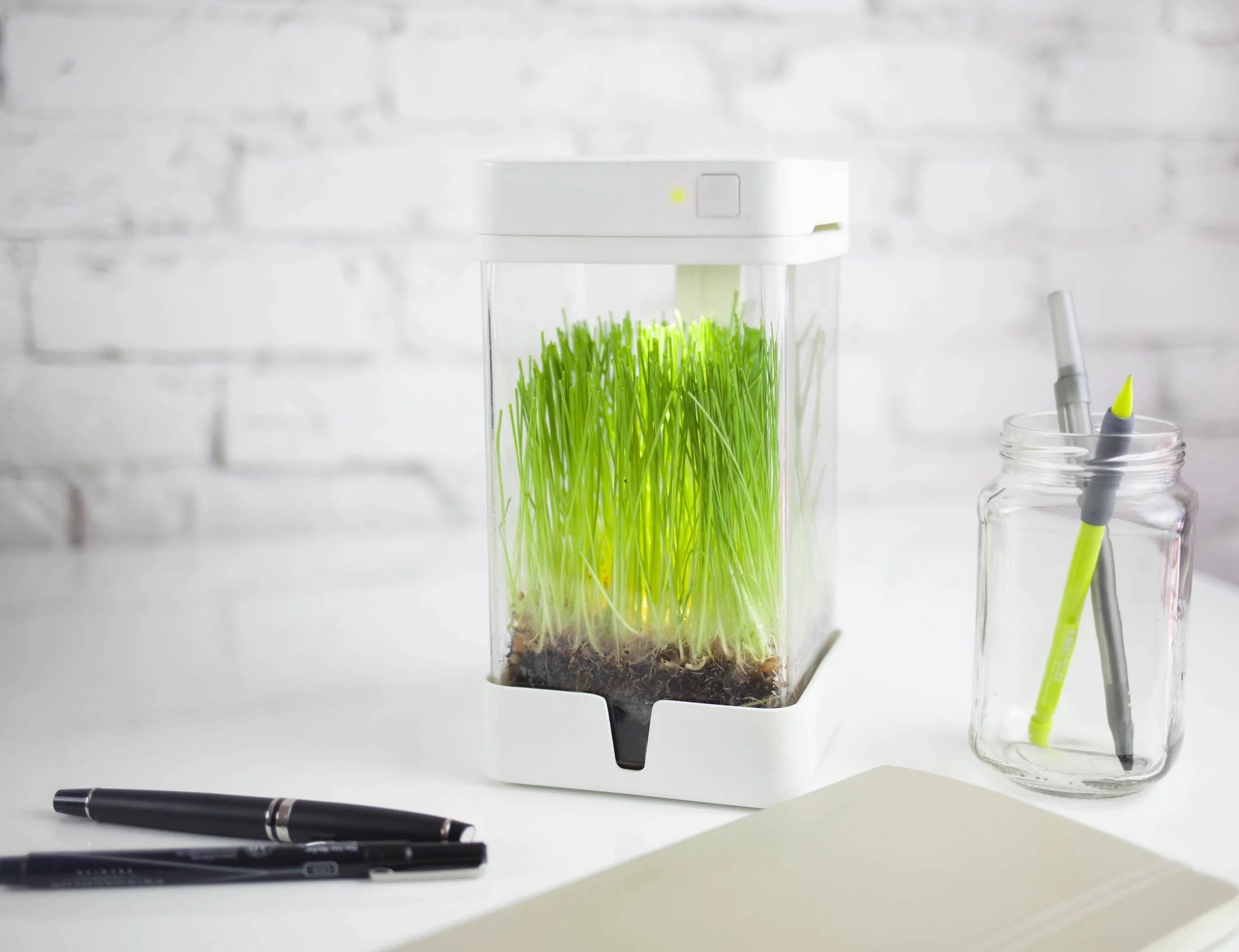 intelligence，OrchidBox，Mini，Glass container，Intelligent incubator，