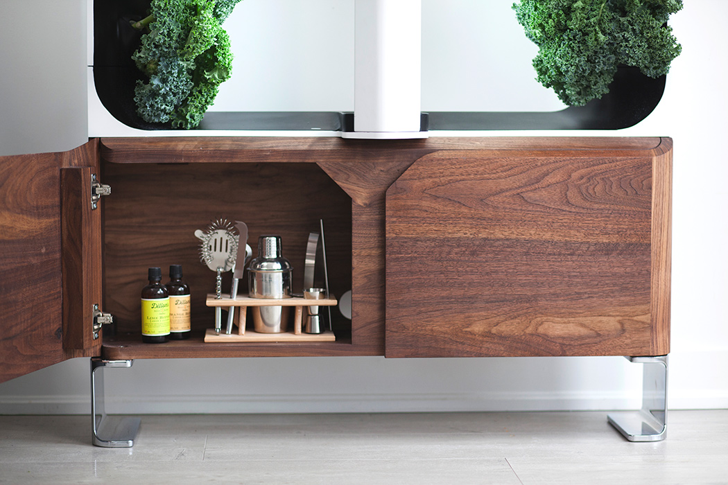 Hydroponic culture，indoor，modern，Botany，wood，