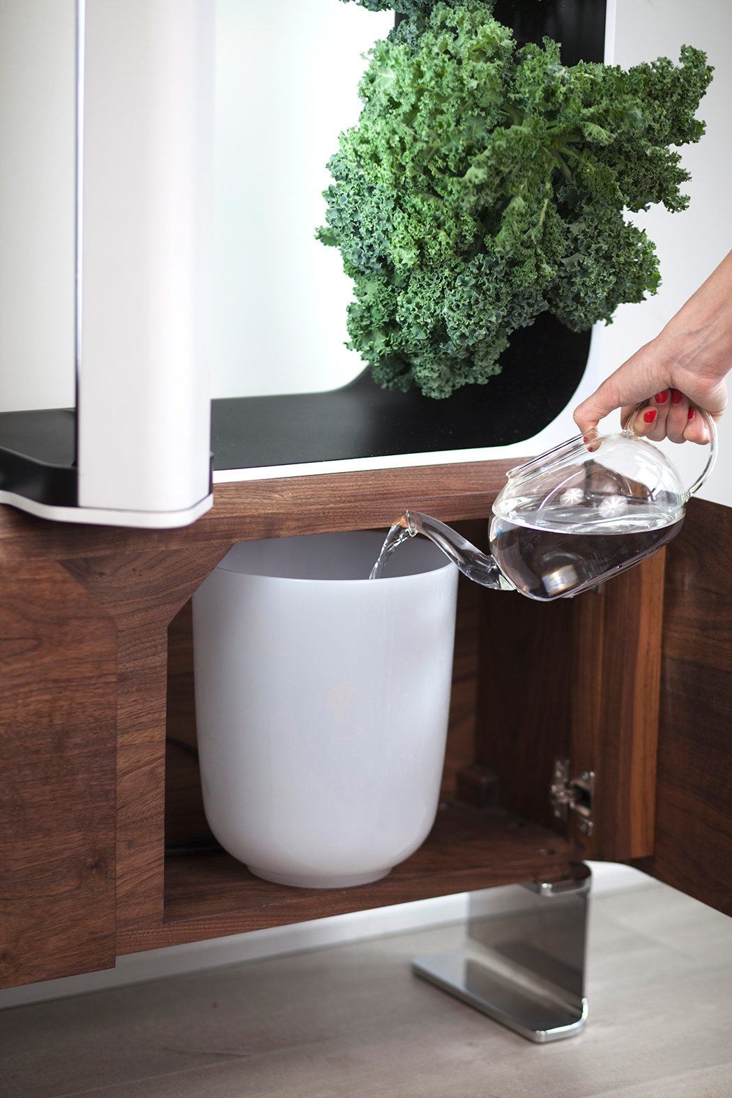 Hydroponic culture，indoor，modern，Botany，wood，